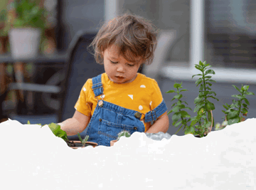 Gardening Blog Thumbnail