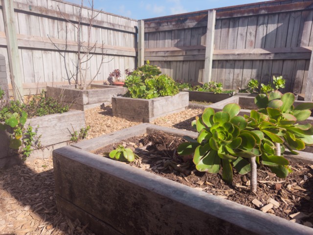 Check out our Centre Gallery