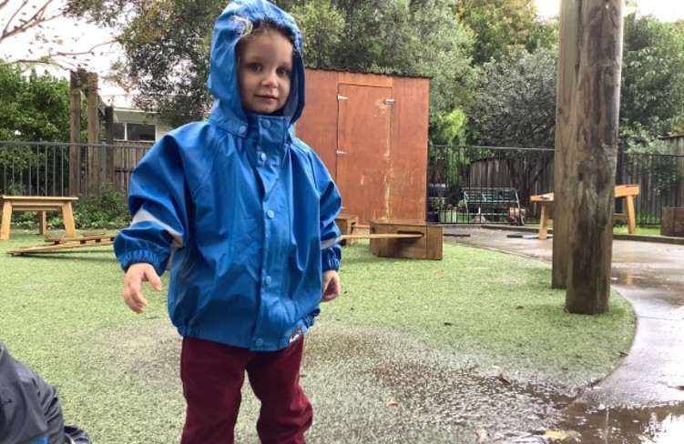 Puriri Outside Rain (Small)
