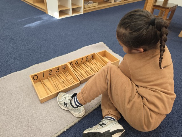 Little Earth Montessori Panmure