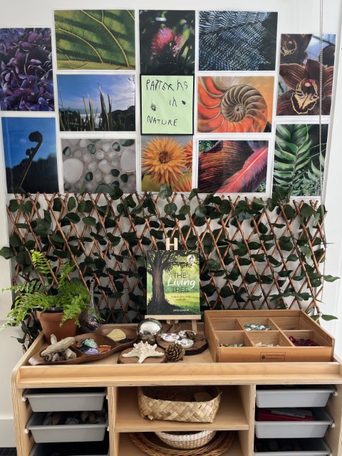 Check out our Centre Gallery