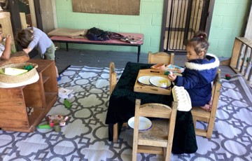 Puriri Family Playoutside (Small)