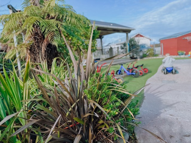 Check out our Centre Gallery
