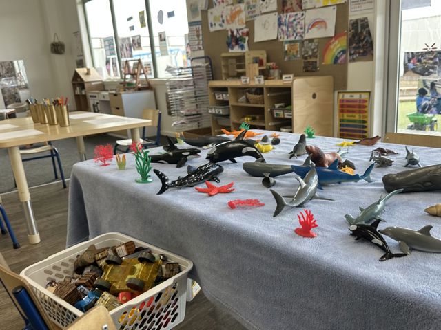 Check out our Centre Gallery