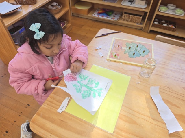 Little Earth Montessori Panmure