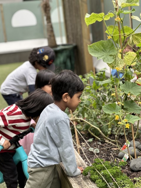 Check out our Centre Gallery