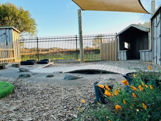 Check out our Centre Gallery
