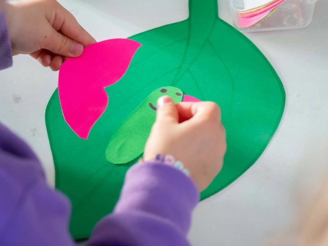 Check out our Centre Gallery