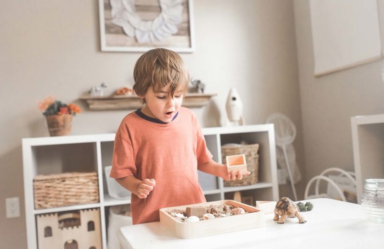 Little Earth Montessori Boy doing sorting activity