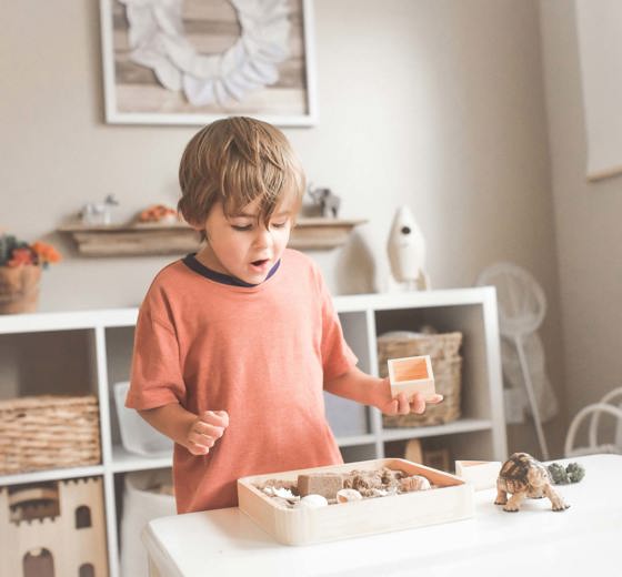 Little Earth Montessori Boy doing sorting activity